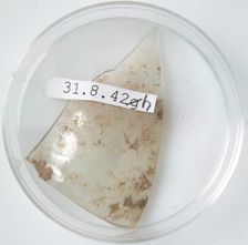 Glass Fragment, Coptic, 4th century. Creator: Unknown