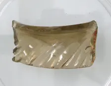 Glass Fragment, Coptic, 4th-early 5th century. Creator: Unknown