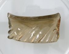 Glass Fragment, Coptic, 4th-early 5th century. Creator: Unknown