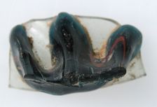 Glass Fragment, Coptic, 4th-early 5th century. Creator: Unknown