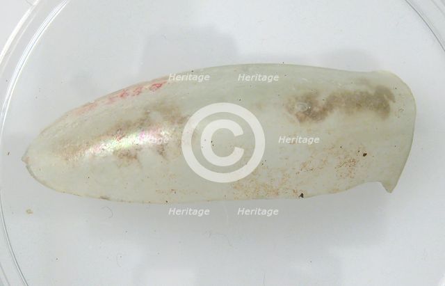 Glass Fragment, Coptic, 4th-early 5th century. Creator: Unknown.