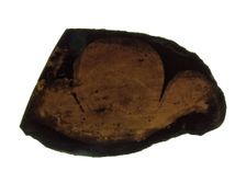 Glass Fragment, European, 13th-14th century. Creator: Unknown