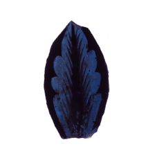 Glass Fragment, European, 13th-14th century. Creator: Unknown