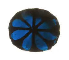 Glass Fragment, European, 13th-14th century. Creator: Unknown