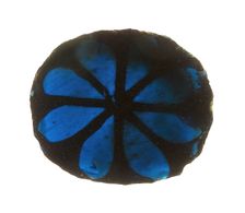 Glass Fragment, European, 13th-14th century. Creator: Unknown