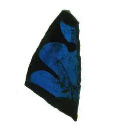 Glass Fragment, European, 13th-14th century. Creator: Unknown