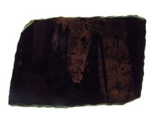 Glass Fragment, European, 13th-14th century. Creator: Unknown