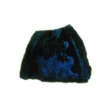 Glass Fragment, European, 13th-15th century. Creator: Unknown