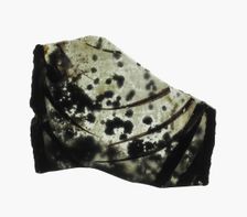 Glass Fragment, European, 14th-15th century. Creator: Unknown