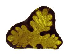 Glass Fragment, European, 15th century. Creator: Unknown