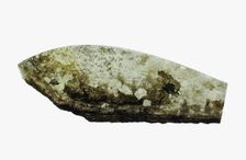 Glass Fragment, French, 15th century. Creator: Unknown