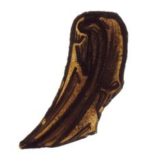 Glass Fragment, French, 12th-14th century. Creator: Unknown