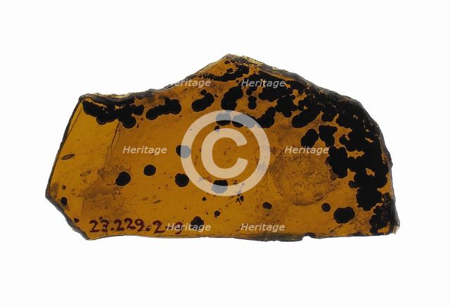 Glass Fragment, French, 12th century. Creator: Unknown.