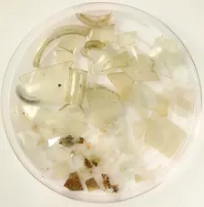 Glass Fragments, Coptic, 4th-7th century. Creator: Unknown