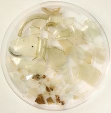 Glass Fragments, Coptic, 4th-7th century. Creator: Unknown