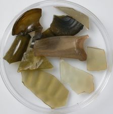 Glass Fragments, Coptic, 4th-7th century. Creator: Unknown