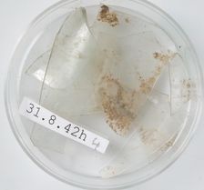 Glass Fragments, Coptic, 4th century. Creator: Unknown