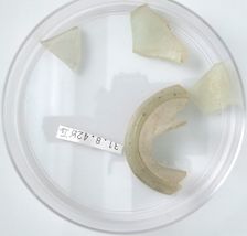 Glass Fragments, Coptic, 4th century. Creator: Unknown