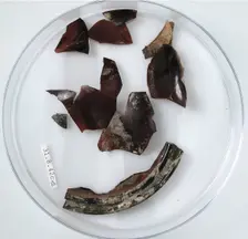 Glass Fragments, Coptic, 4th century. Creator: Unknown