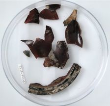 Glass Fragments, Coptic, 4th century. Creator: Unknown