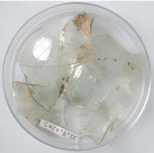 Glass Fragments, Coptic, 4th century. Creator: Unknown