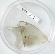 Glass Fragments, Coptic, 4th century. Creator: Unknown