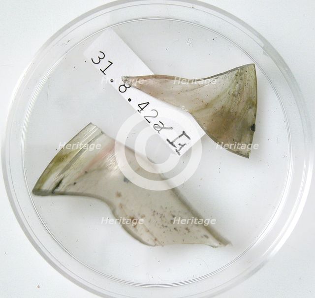 Glass Fragments, Coptic, 4th century. Creator: Unknown.