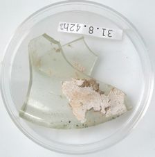 Glass Fragments, Coptic, 4th century. Creator: Unknown