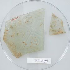 Glass Fragments, Coptic, 4th century. Creator: Unknown