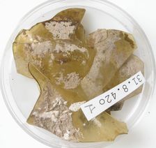 Glass Fragments, Coptic, 4th century. Creator: Unknown