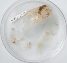 Glass Fragments, Coptic, 4th century. Creator: Unknown