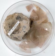 Glass Fragments, Coptic, 4th century. Creator: Unknown