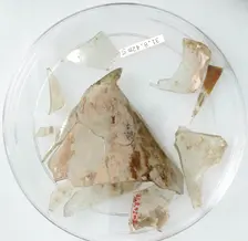 Glass Fragments, Coptic, 4th century. Creator: Unknown