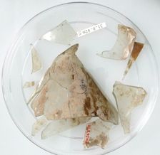 Glass Fragments, Coptic, 4th century. Creator: Unknown