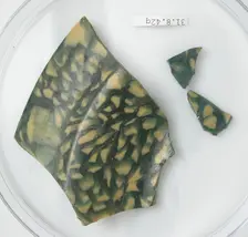 Glass Fragments, Coptic, 4th century. Creator: Unknown