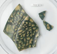 Glass Fragments, Coptic, 4th century. Creator: Unknown