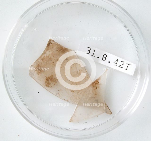 Glass Fragments, Coptic, 4th century. Creator: Unknown.