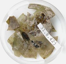 Glass Fragments, Coptic, 4th century. Creator: Unknown