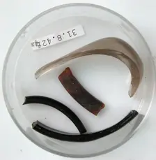 Glass Fragments, Coptic, 4th century. Creator: Unknown