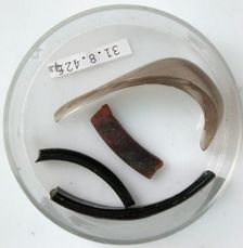 Glass Fragments, Coptic, 4th century. Creator: Unknown