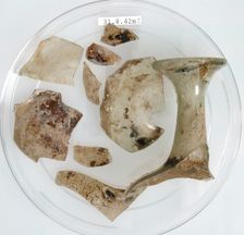 Glass Fragments, Coptic, 4th century. Creator: Unknown