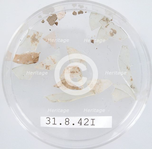 Glass Fragments, Coptic, 4th century. Creator: Unknown.