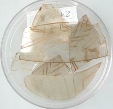 Glass Fragments, Coptic, 4th-early 5th century. Creator: Unknown