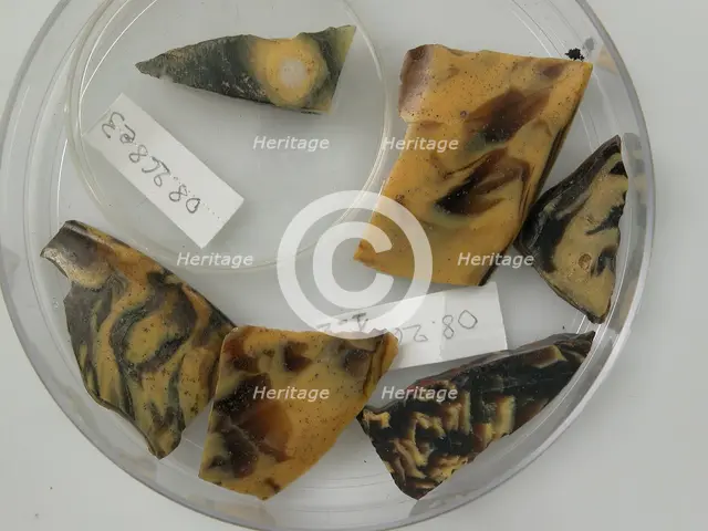 Glass Fragments, Coptic, 4th-early 5th century. Creator: Unknown.