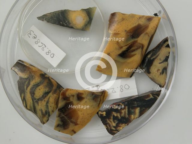 Glass Fragments, Coptic, 4th-early 5th century. Creator: Unknown.