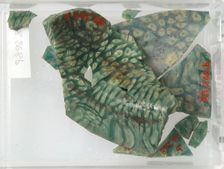 Glass Fragments, Coptic, 4th-early 5th century. Creator: Unknown