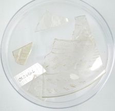 Glass Fragments, Coptic, 4th-early 5th century. Creator: Unknown