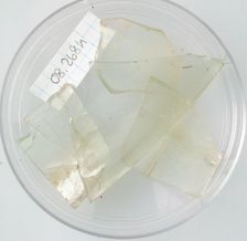Glass Fragments, Coptic, 4th-early 5th century. Creator: Unknown