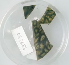 Glass Fragments, Coptic, 4th-early 5th century. Creator: Unknown