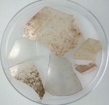 Glass Fragments, Coptic, 4th-early 5th century. Creator: Unknown